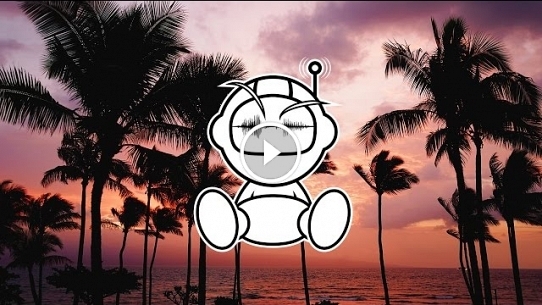 The Imaginary Trip To Hawaii (Dosem Remix)