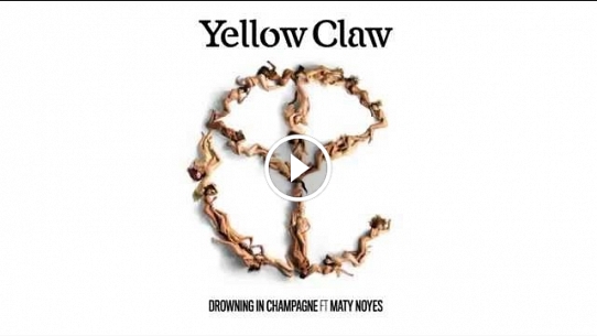 Drowning In Champagne (feat. Maty Noyes)