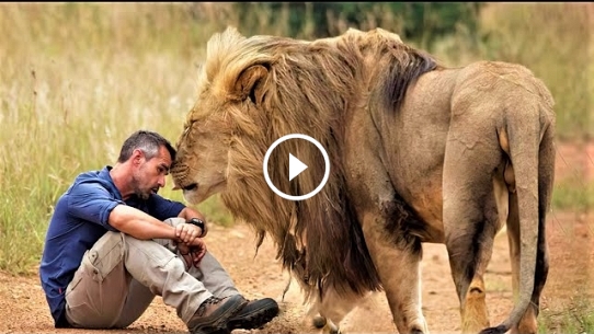7 Strongest Friendships Between Humans and Wild Animals