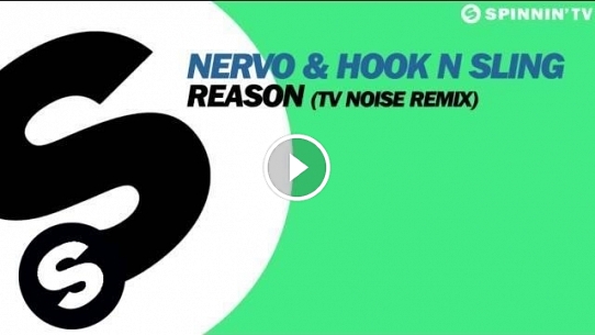 Reason (TV Noise Remix)