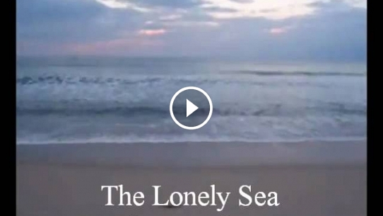 Lonely Sea