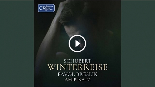 Winterreise, Op. 89, D. 911: No. 12, Einsamkeit (Live)