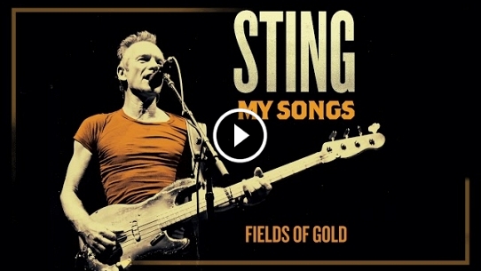 Fields Of Gold (My Songs Version)