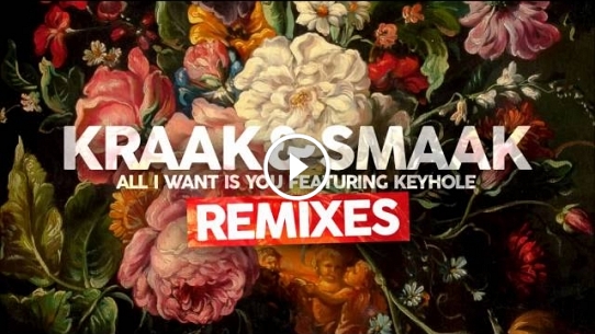 All I Want Is You (feat. Keyhole) [Mason Remix]