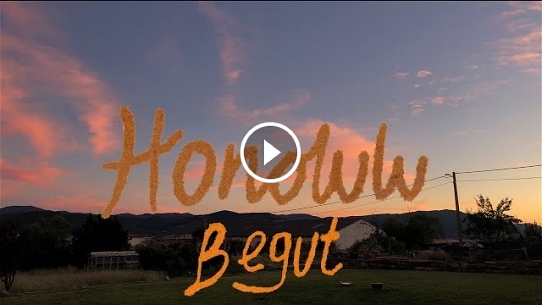 Begut - Honolulu (Videoclip Oficial)