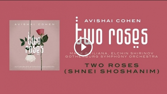 Two Roses (Shnei Shoshanim)