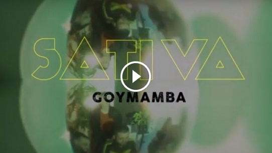 Goymamba - SATIVA (vídeo oficial)