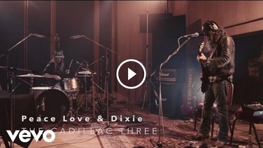 Peace Love & Dixie