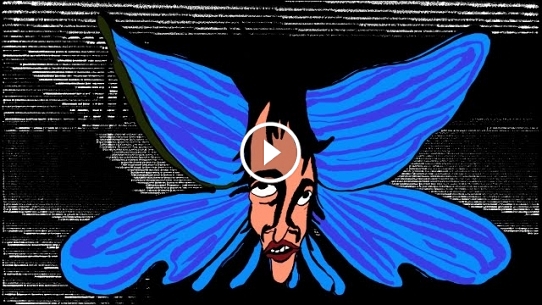 King Gizzard & The Lizard Wizard - Blue Morpho (Official Video)