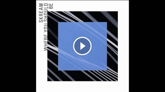 Where You Should Be (feat. Sam Frank) (Seiji Remix)