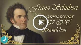Schwanengesang, S. 560: No. 7 in D Minor, Ständchen (After Franz Schubert's Schwanengesang, D. 957)