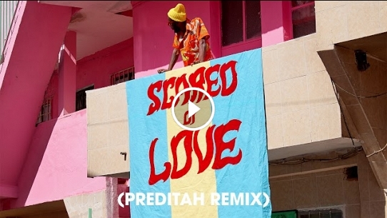 Scared of Love (feat. RAY BLK & Stefflon Don) (Preditah Remix)