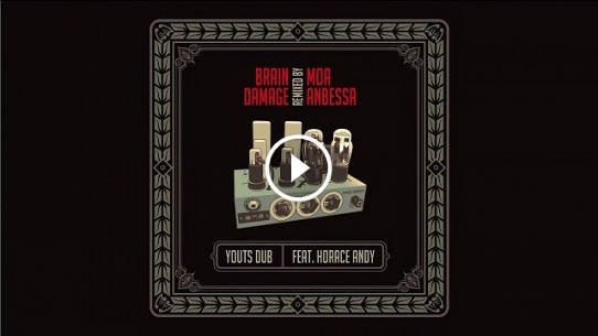Youts Dub Feat Horace Andy - Moa Anbessa RMX