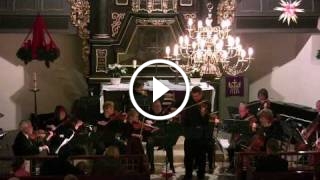 Concerto XI In D Minor for Two Violins: Allegro