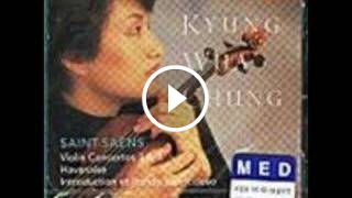 Violin Concerto No.3 in B minor, Op.61 : 1. Allegro non troppo
