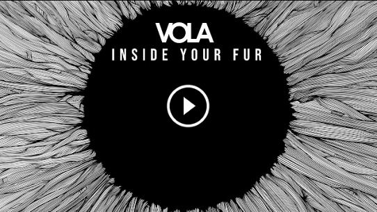 Inside Your Fur