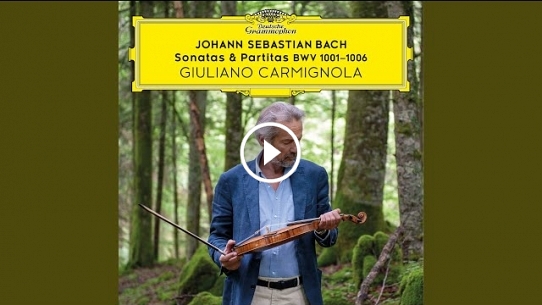 Sonata for Violin Solo No. 1 in G Minor, BWV 1001 : 4. Presto