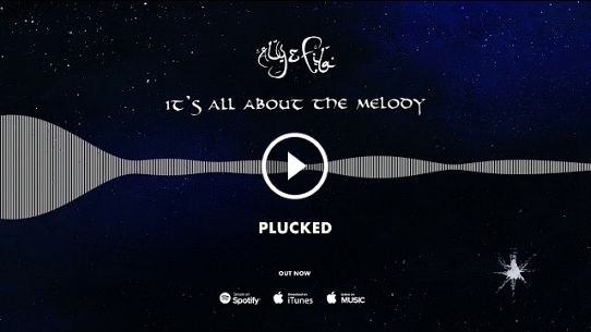 Plucked (Original Mix)