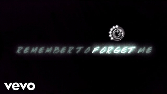 Remember To Forget Me