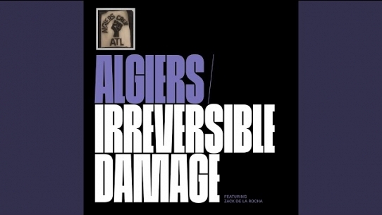 Irreversible Damage (Edit)
