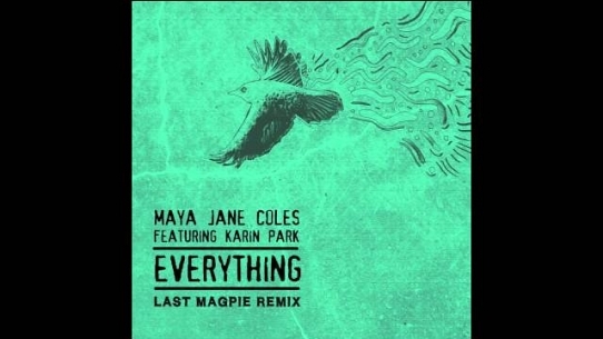 Everything (Last Magpie Remix)