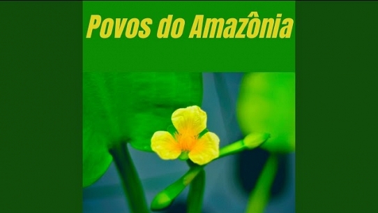 Povos do Amazônia
