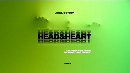 Head & Heart (feat. MNEK) (Vintage Culture & Fancy Inc Remix)