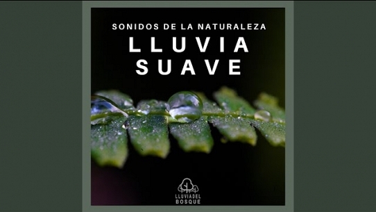 Sonidos de la Naturaleza: Lluvia Suave, Pt. 50