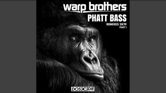 Phatt Bass (David Novacek Extended Remix)