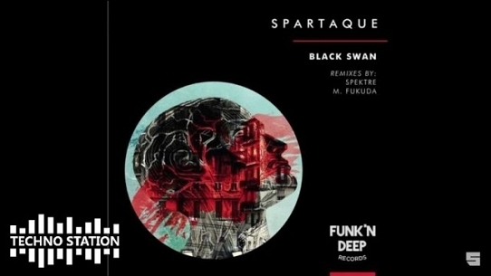 Black Swan (M. Fukuda Remix)