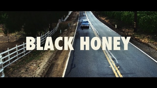 Thrice - Black Honey [Official Video]
