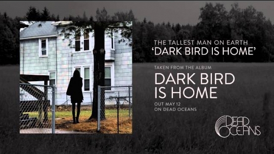 Dark Bird Is Home