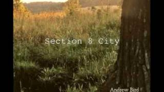 Section 8 City
