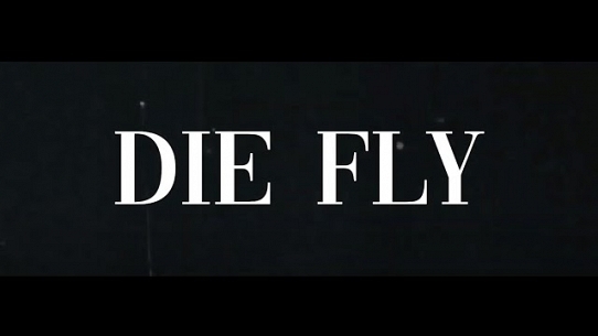 Die Fly