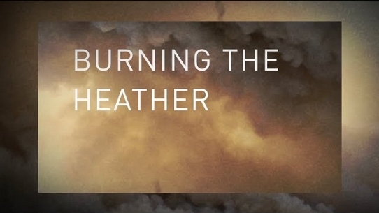 Burning the heather