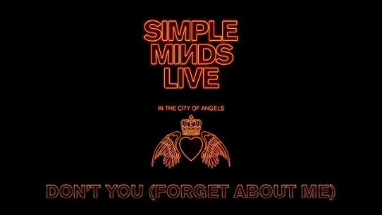 Don't You (Forget About Me) (Live in the City of Angels)