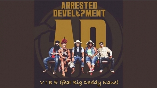 Vibe (feat. Big Daddy Kane, Cleveland P Jones, Speech & Tasha LaRae) (Acapella)