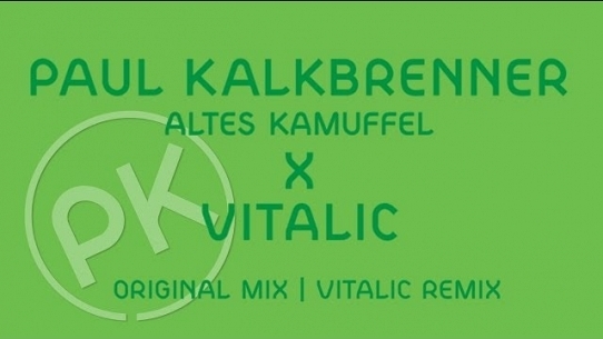 Altes Kamuffel (Vitalic Remix)