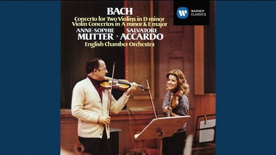 Violin Concerto in E, BWV 1042: I. Allegro