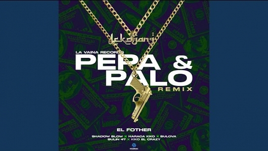 Pepa & Palo (feat. Bulova, Bulin 47 & Shadow Blow) (Remix)