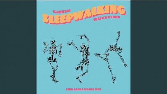 Sleepwalking (Pink Panda House Edit)