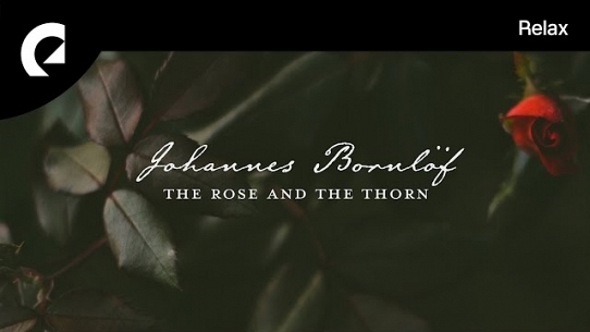The Rose And The Thorn
