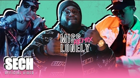 Miss Lonely (Dimelo Flow Remix)