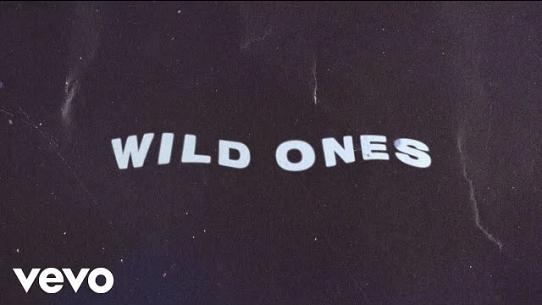 For The Wild Ones