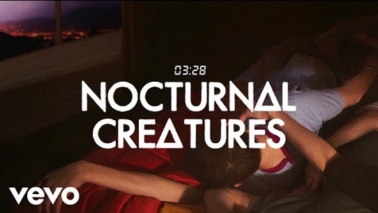 Nocturnal Creatures