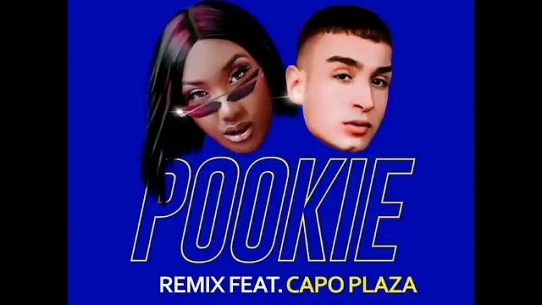 Pookie (feat. Capo Plaza) (Remix)