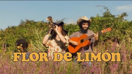 Los Estanques - Flor De Limón (vídeo)