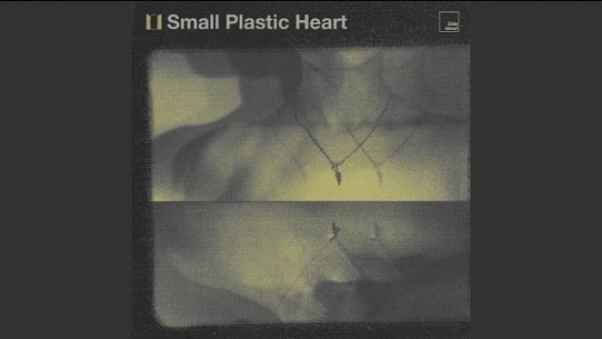 Small Plastic Heart