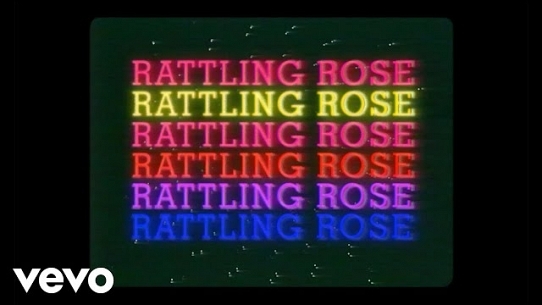 Rattling Rose