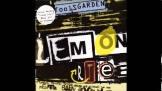 Lemon Tree (2009 Version)
